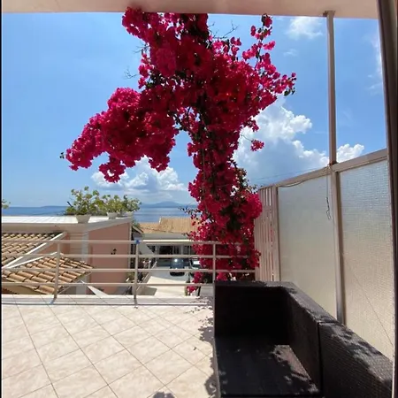 Emilios View *