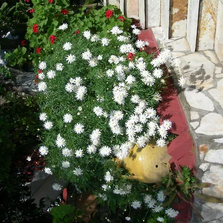 Apartment Emilios View